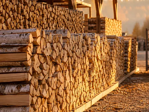 Крупная партия берёзовых дров на участке